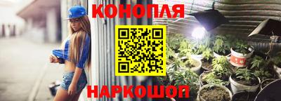 гашик Обнинск