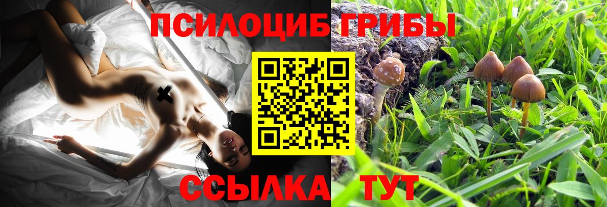 продажа наркотиков  Псилоцибиновые грибы ЛСД  Вход с VPN  Ржев  Псилоцибиновые грибы Cubensis 