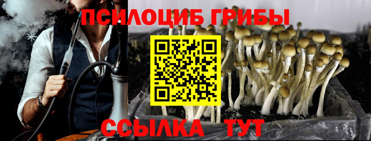 Меф   ГАШИШ  Ржев  Конопля  A PVP СОЛЬ кристаллы  Лсд 25  Мефедрон  Кетамин  Вход с VPN 